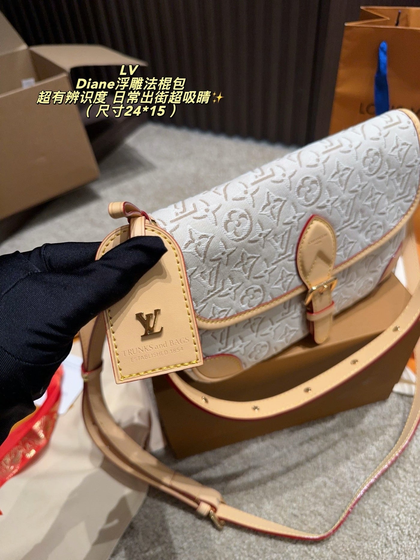 루이 비통 다이앤 엠보싱 숄더백 14